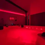 - Jacuzzi Privatif - Fer Rêver 63 Thiers